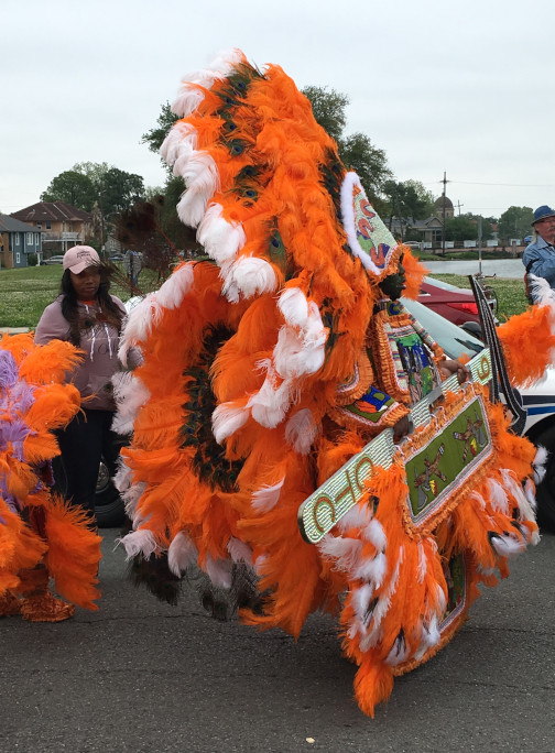 Mardi Gras 
 Indian